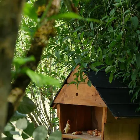 La Maison Des Oiseaux 3* Vandrimare